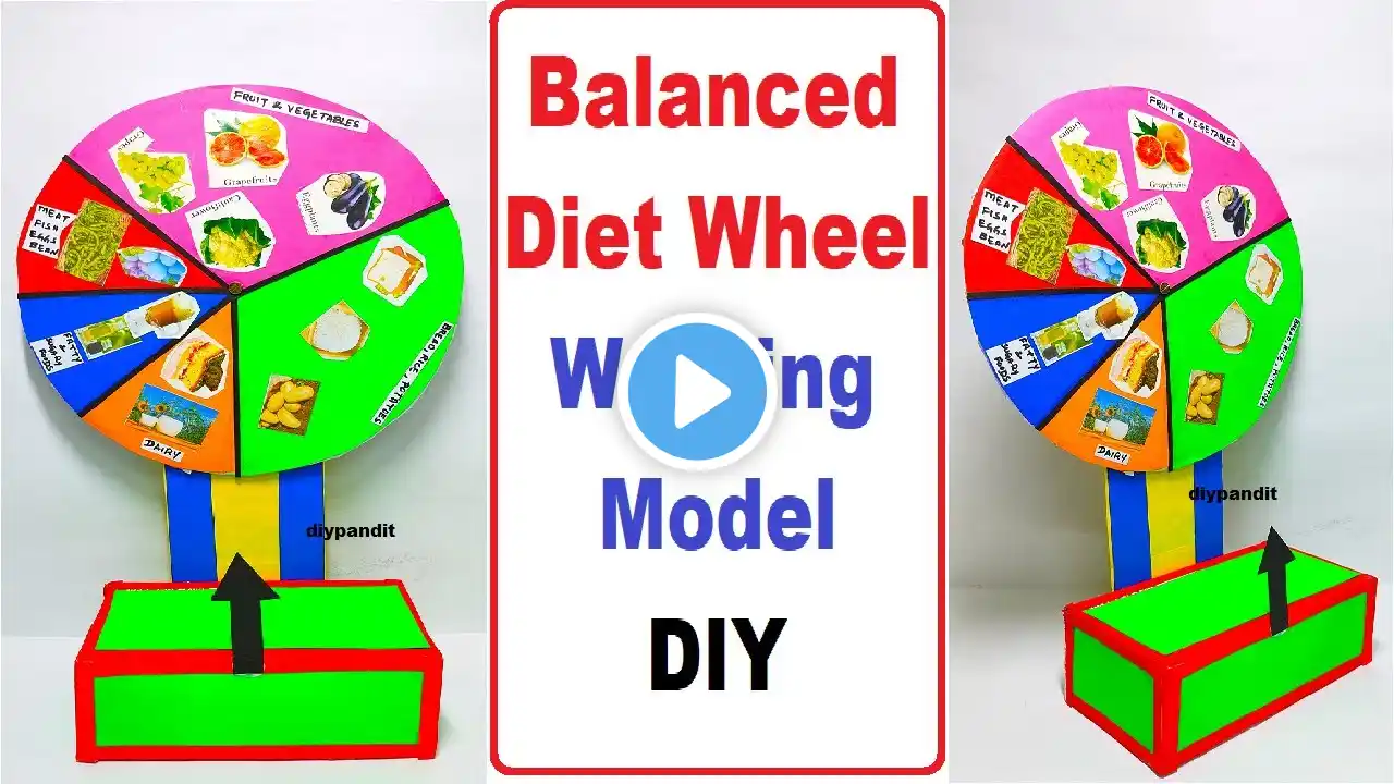 balanced diet wheel working model - diy - simple and easy steps | DIY pandit