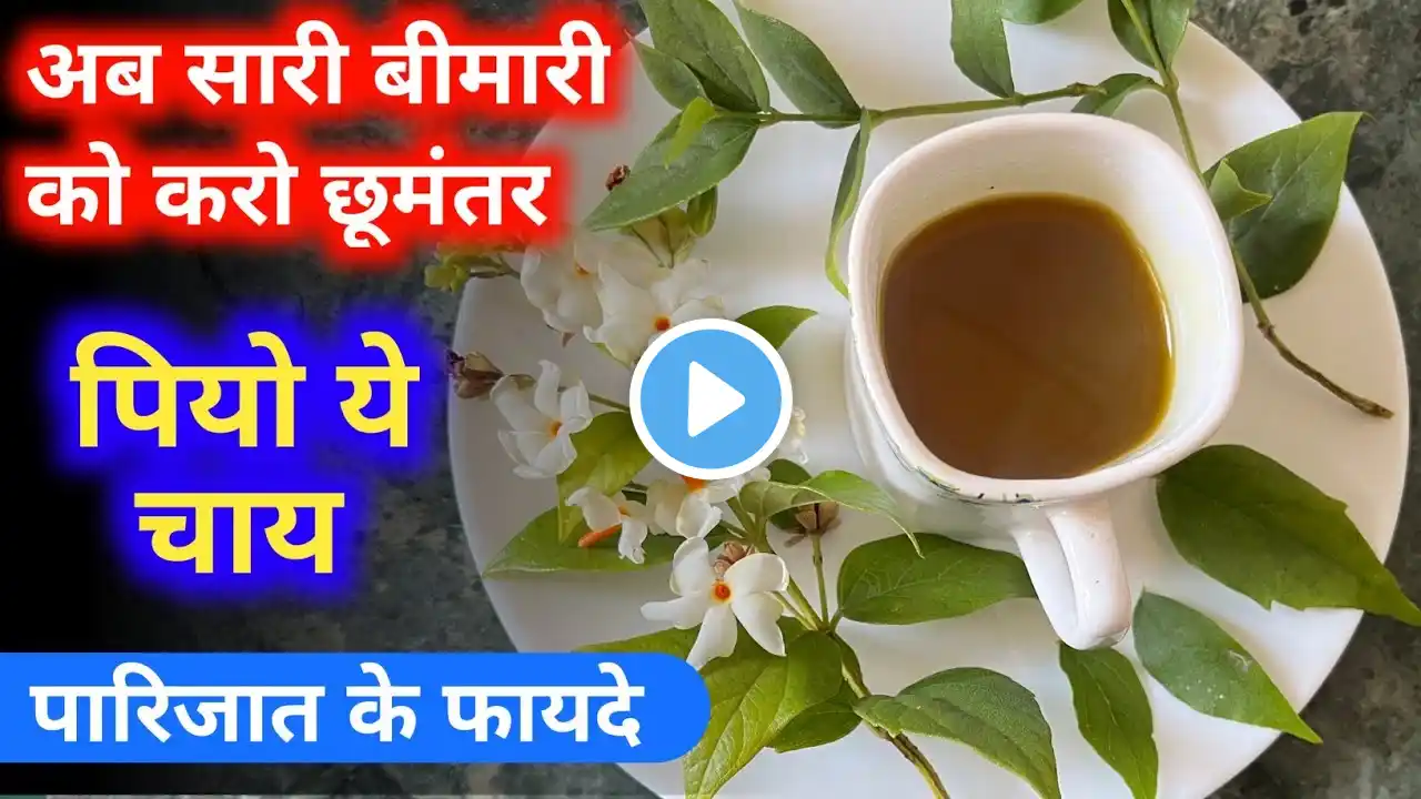 पारिजात (हरसिंगार) का काढा | Patijat ka kadha kaise banate hai | Harsingar ka kadha kaise banaye?