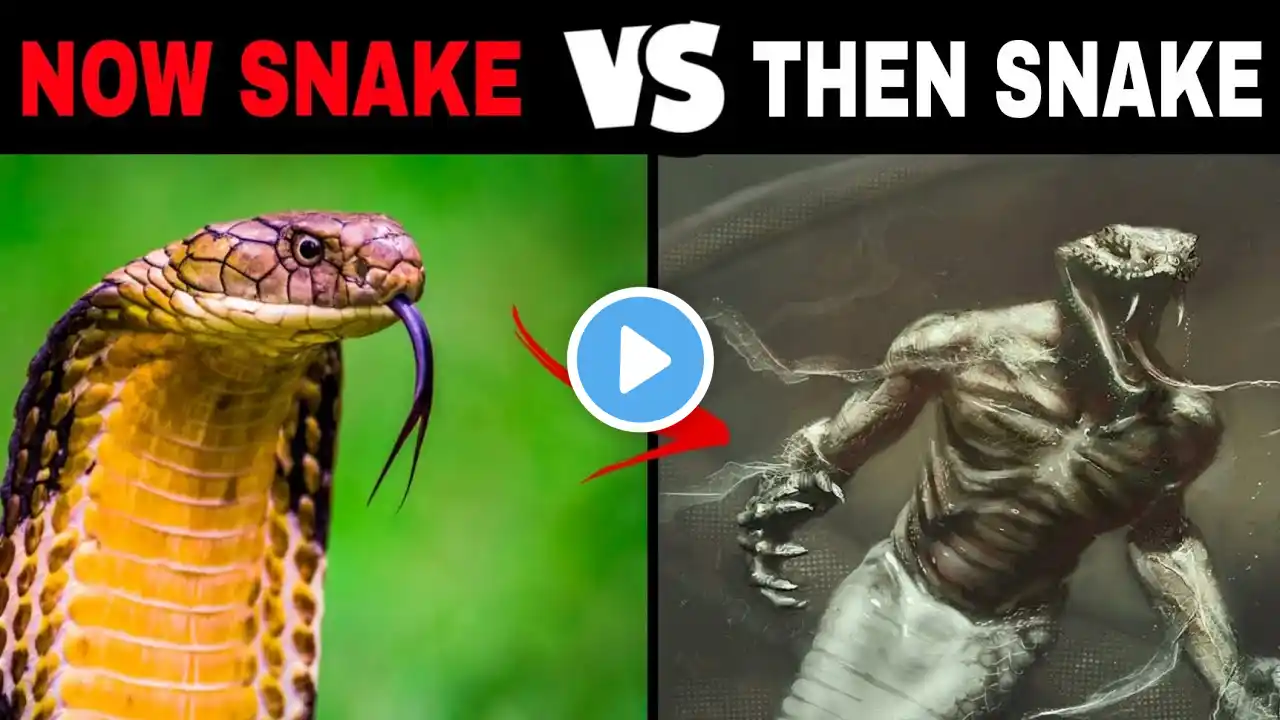 7 Most Dangerous Animals That Are Now Extinct | Cool Space
