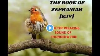 THE BOOK OF ZEPHANIAH | KJV BIBLE | with crackling fire visual/audio for deep sleep and meditation