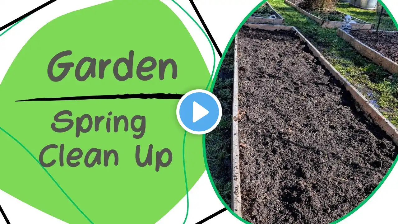 Spring Garden Clean Up | Zone 8b Gardening