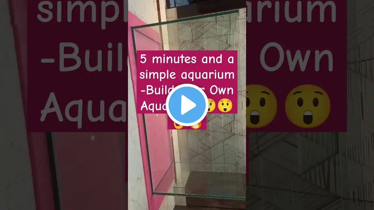 5 Minutes and a Simple Aquarium - Build Your Own Aquarium #shorts #short #viralvideo