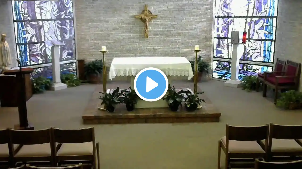 11-27-24: Wednesday of the 34th Week in Ordinary Time
