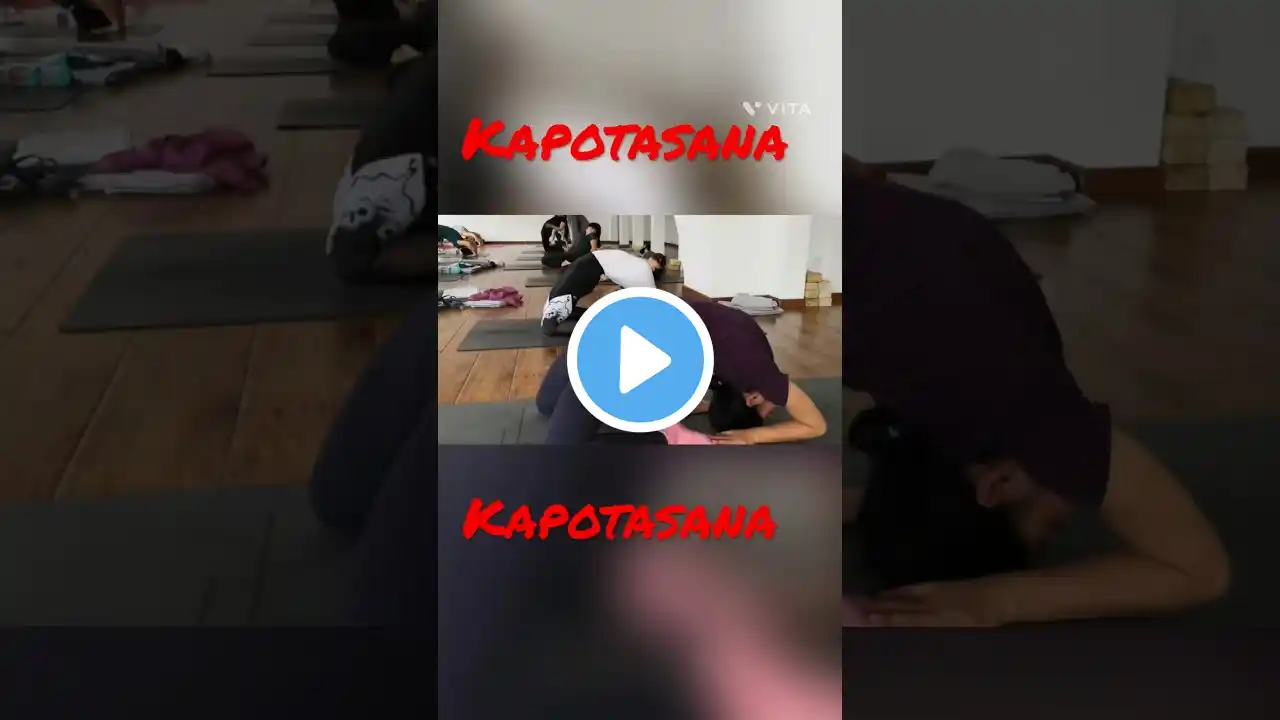 Kapotasana || Kapotasana tutorial || How to do kapotasana|| Kapotasana for beginners||pigeon pose🦅