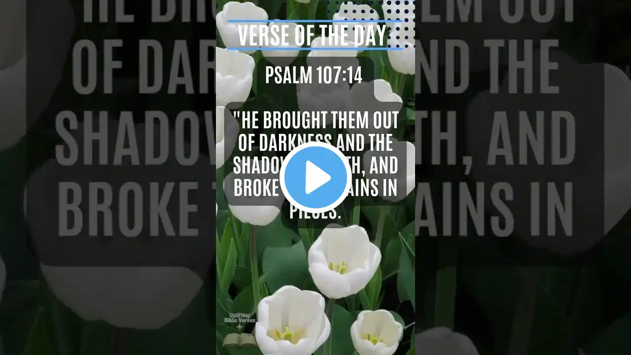 VERSE OF THE DAY| PSALM 107 V 14 | MEDITATE ON GOD'S WORD DAILY FOR SUCCESS. #BIBLE #SHORTS #fAITH