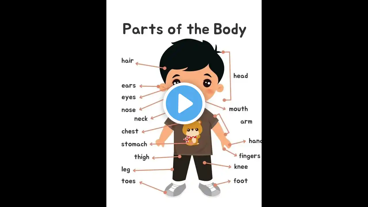 Body parts Name | Body parts | Parts of the body | #bodyparts #shorts