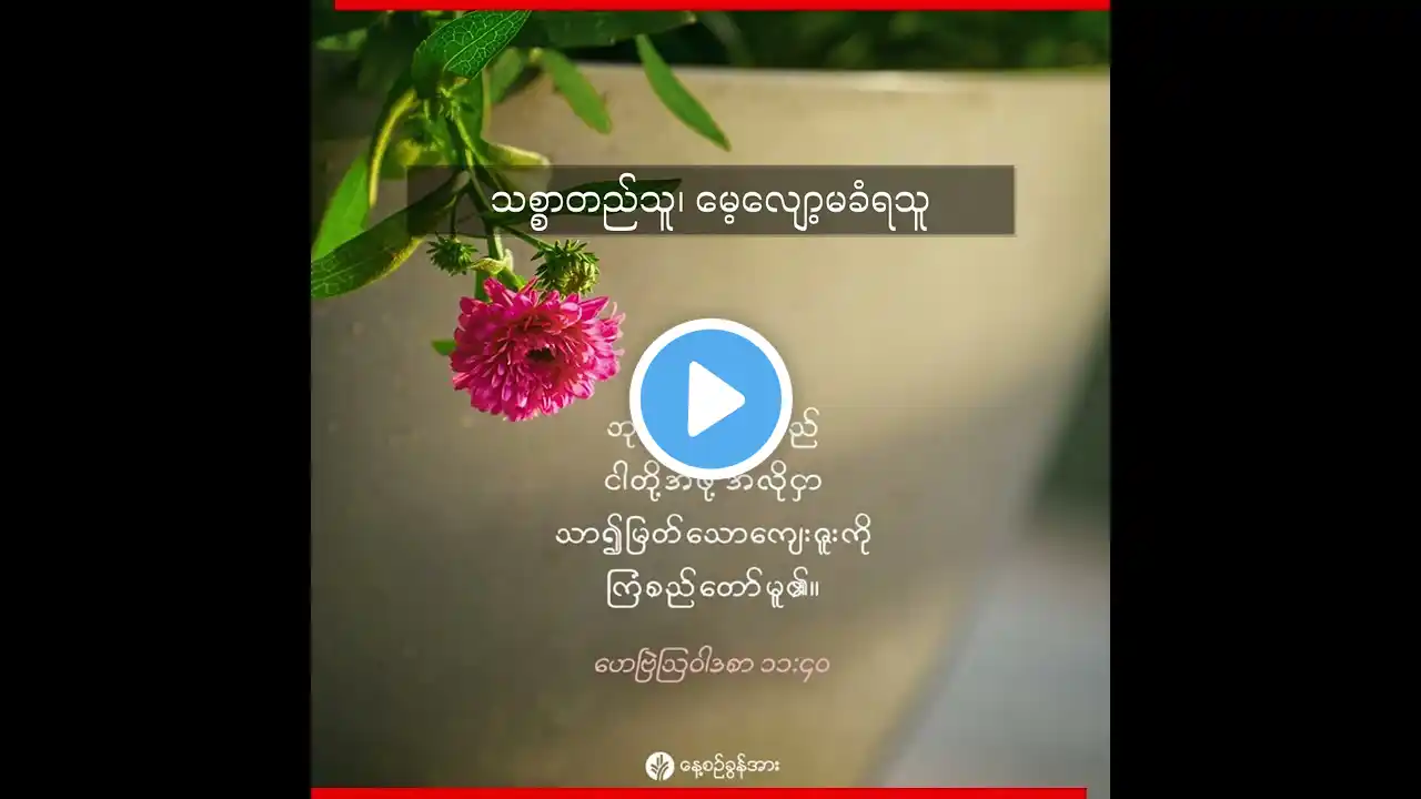 နေ့စဉ်ခွန်အား | ၂၀၂၃ ခုနှစ်၊ စက်တင်ဘာလ (၁၉) ရက်
