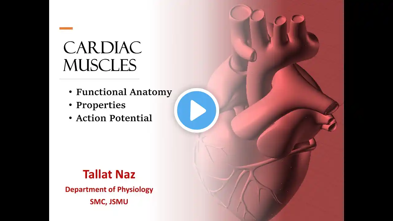 Chapter 9 Guyton |Cardiac action potential |Properties of Cardiac Muscles| Functional Anatomy