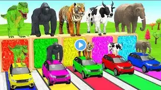 Paint Animals Duck,Tiger,Cow,Lion,Zebra,Gorilla,Elephant,Dinosaur Fountain Crossing Animal Game Pi