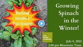 Growing Spinach in Fall and Winter Workshop