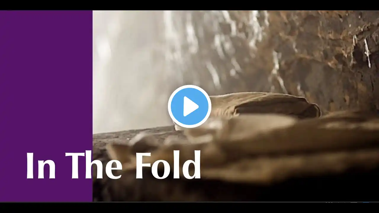 CBC Sunday April 9, 2023 | Easter Sunday - In The Fold