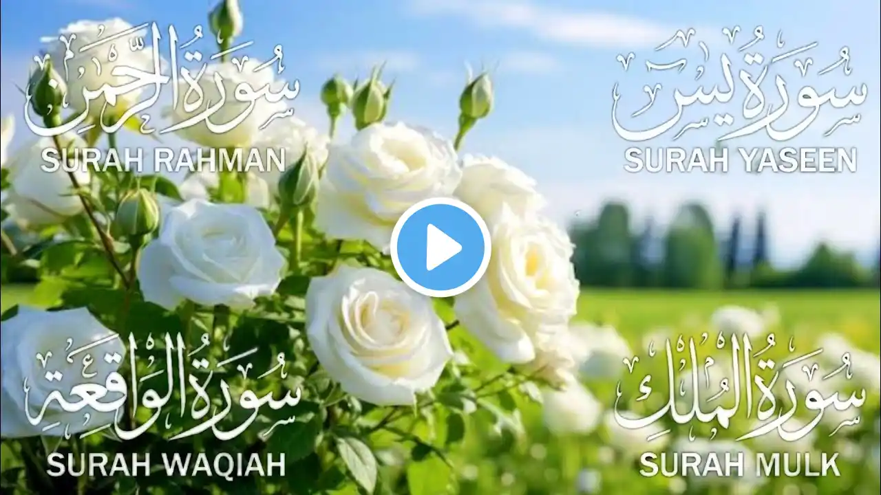Surah Yaseen Rahman Waqiah Mulk | Ep017 | beautiful full quran recitation | full yaseen shareef