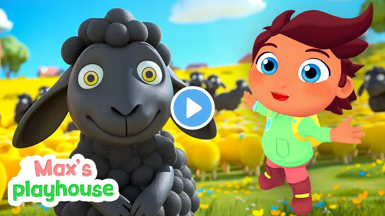 Baa Baa Black Sheep + Best Collection of Rhymes | Max