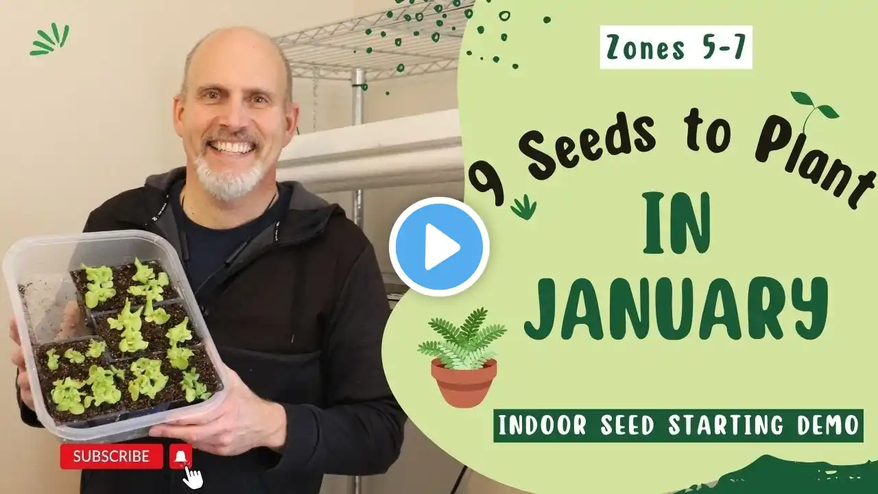 9 Seeds You Can Plant Indoors in January