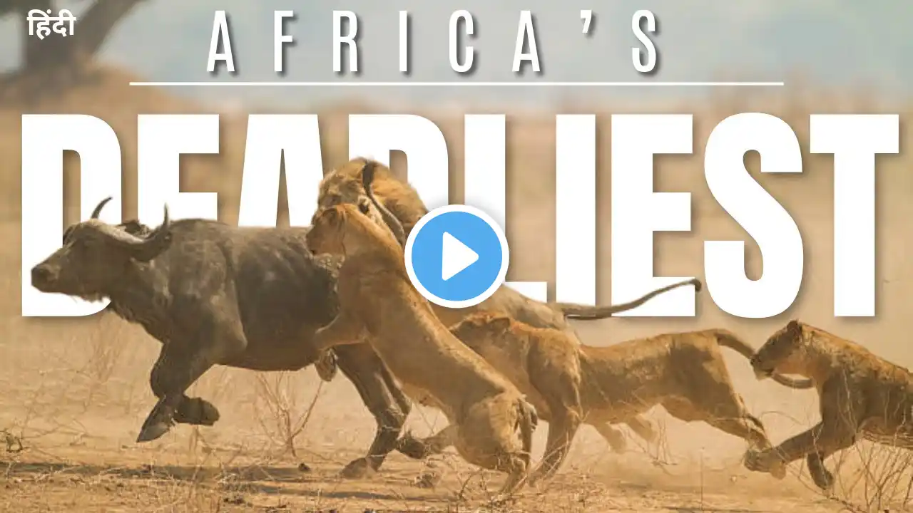 Africa’s Deadliest: Migration Rute | wildlife documentary in hindi | Animal hindi documentary