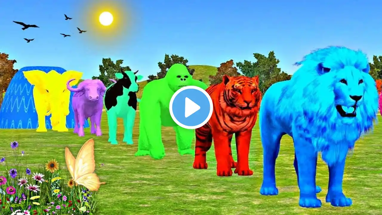 Long Slide Game With Elephant Gorilla Buffalo Hippopotamus Tiger - 3d Animal Game - Funny 3d Animals