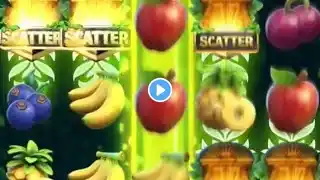 Yono rummy I Yono game tricks I Jungle delight winning tricks