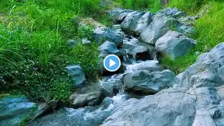 Babbling Brook, Creek Sounds, Water Stream Relaxing Nature Sounds Stress Relief, Study, Deep Sleep
