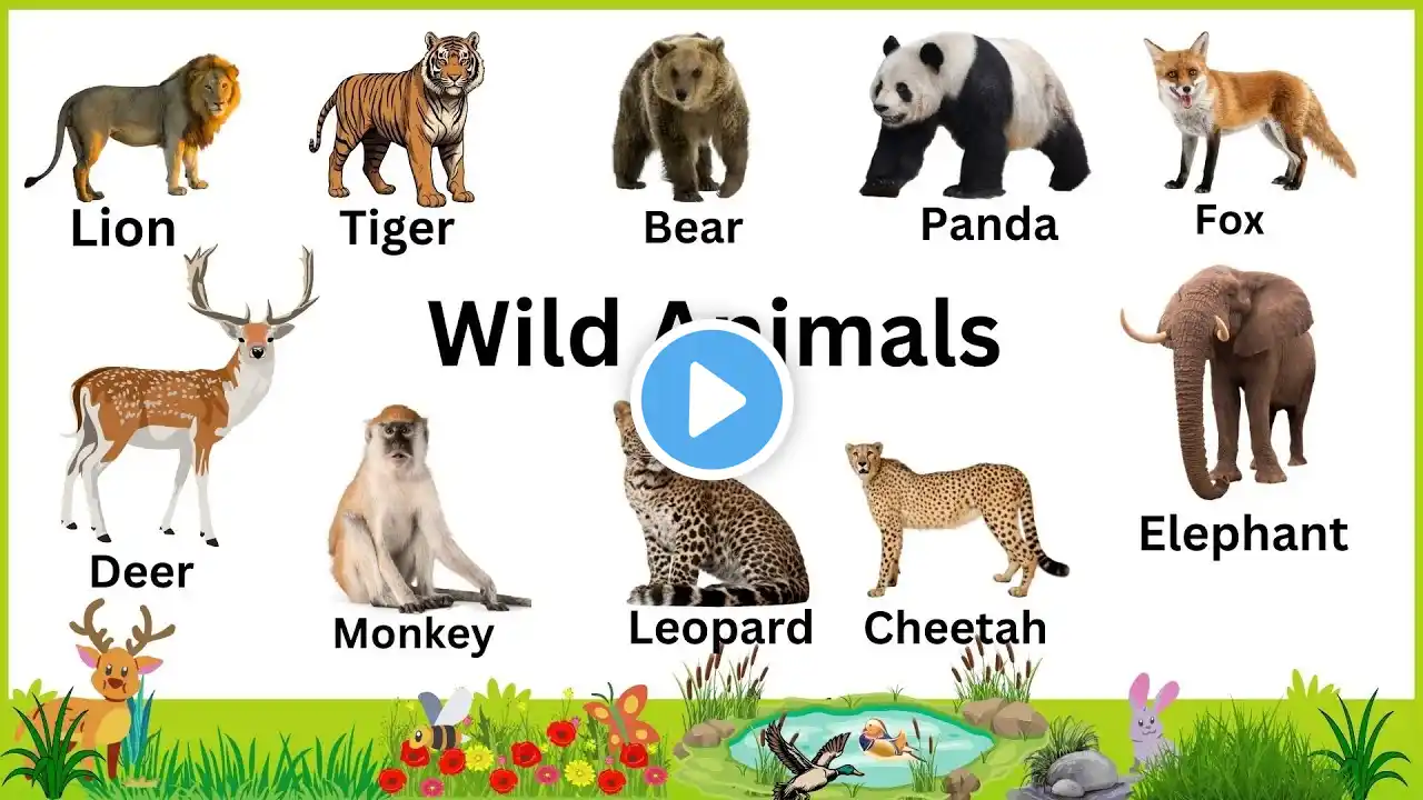 Wild Animals | Learn wild animals names in English | Kids vocabulary | English Educational Video