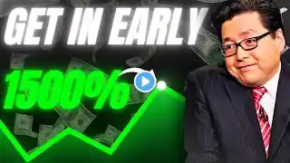 TOM Lee’s BOLD Prediction: These CHEAP STOCKS Will Make MILLIONS This YEAR!(DON'T MISS)