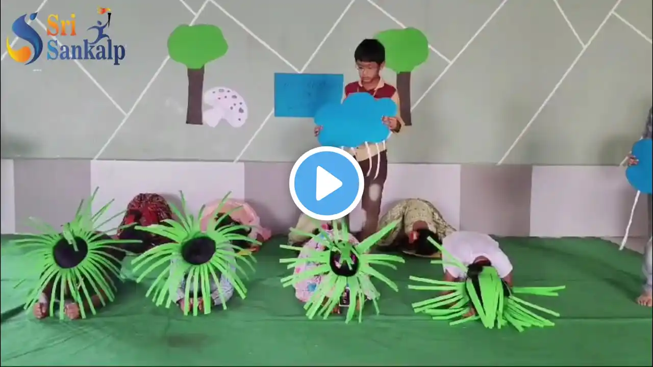 The Magic of Germination | Seed to Plant | Sri Sankalp Olympiad School, Nandyal