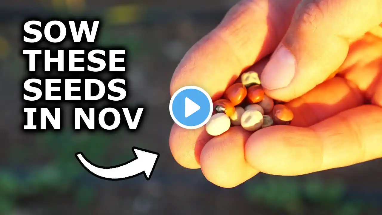 7 Seeds YOU MUST Grow in November