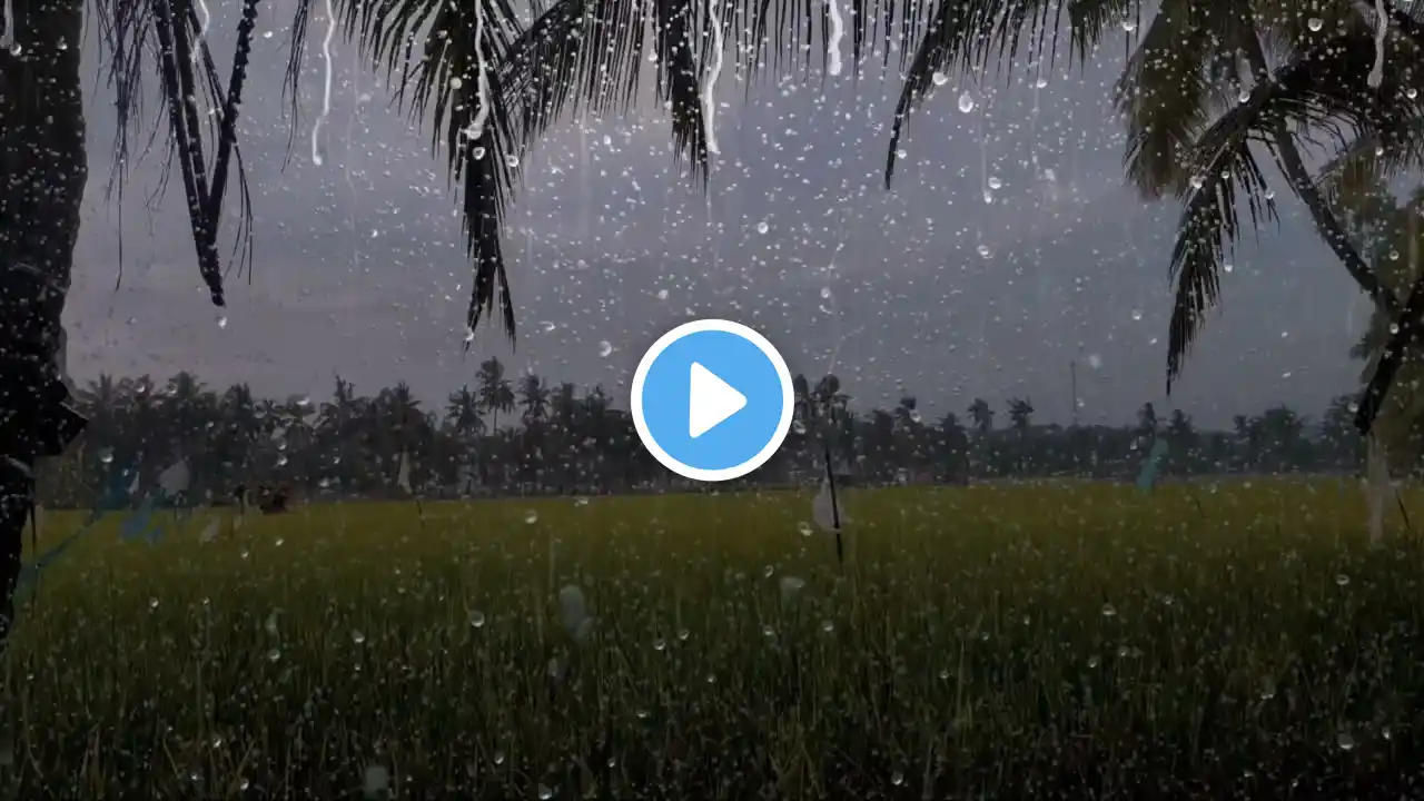 Beat Stress & Goodbye Insomnia with Calm Rain and Thunder Sounds - Rain Sounds for Sleep