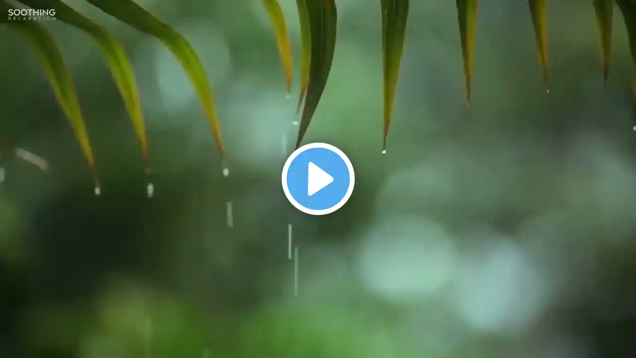 You & Me: Relaxing Piano Music & Soft Rain Sounds For Sleep & Relaxation