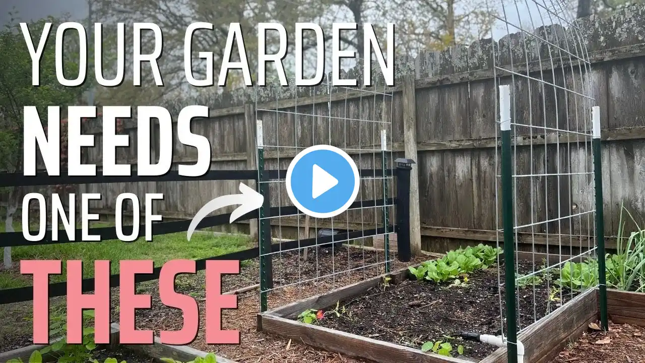 Build This Easy Cow Panel Trellis (Grow More Melons in Less Space! )