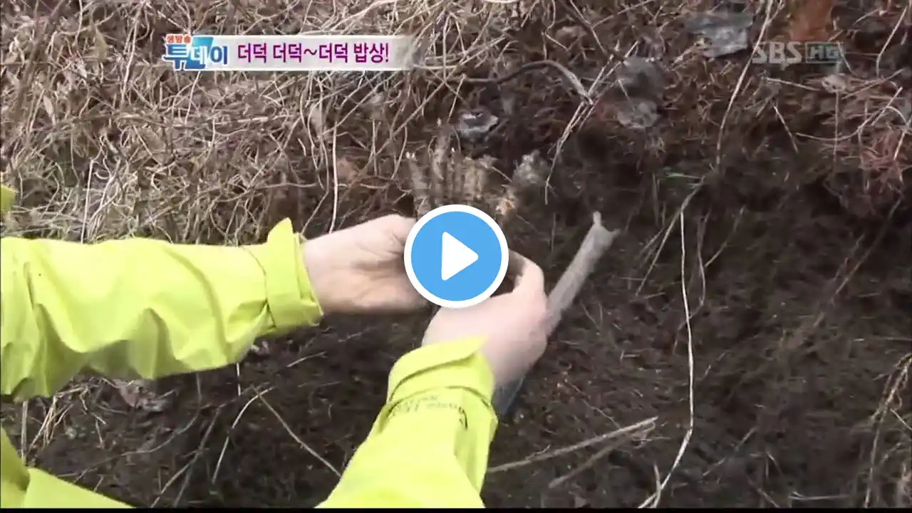 생방송 투데이(474회)_08
