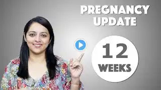 Week 12 Pregnancy Update | प्रेगनेंसी का बरवां हफ्ता कैसा होता है? (with Eng Subs)