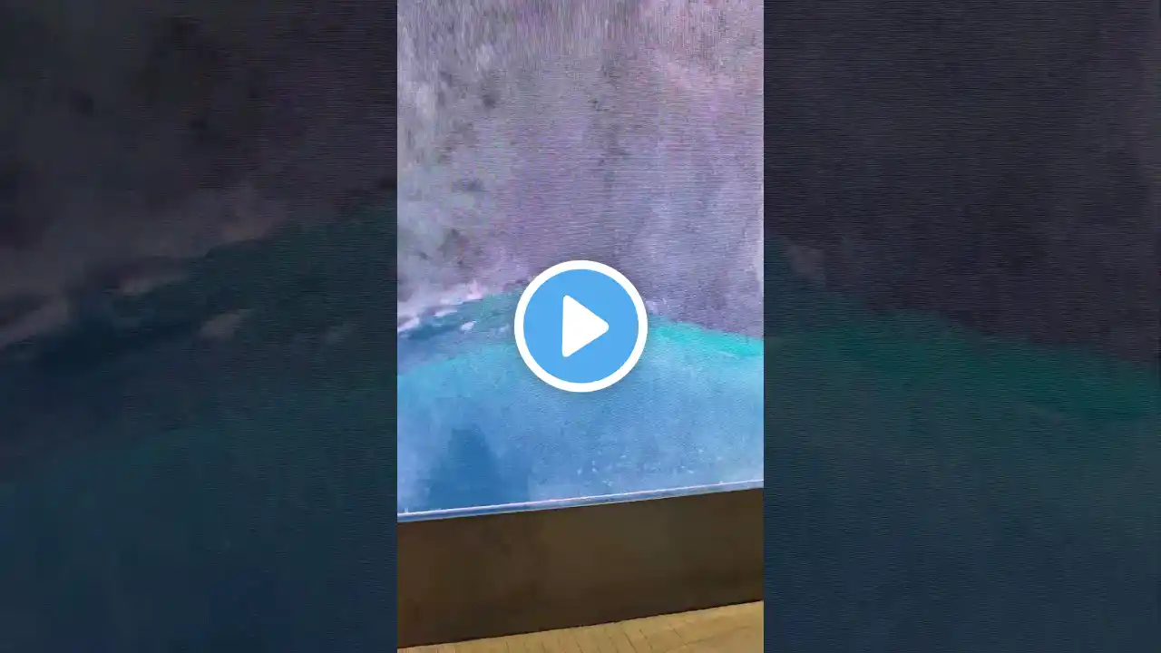 #김용빈노래 #롯데백화점 #동탄