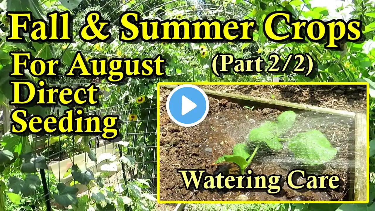 August Summer & Fall Crops to Direct Seed Part 2 of 2: Detailed Watering & Germination Examples