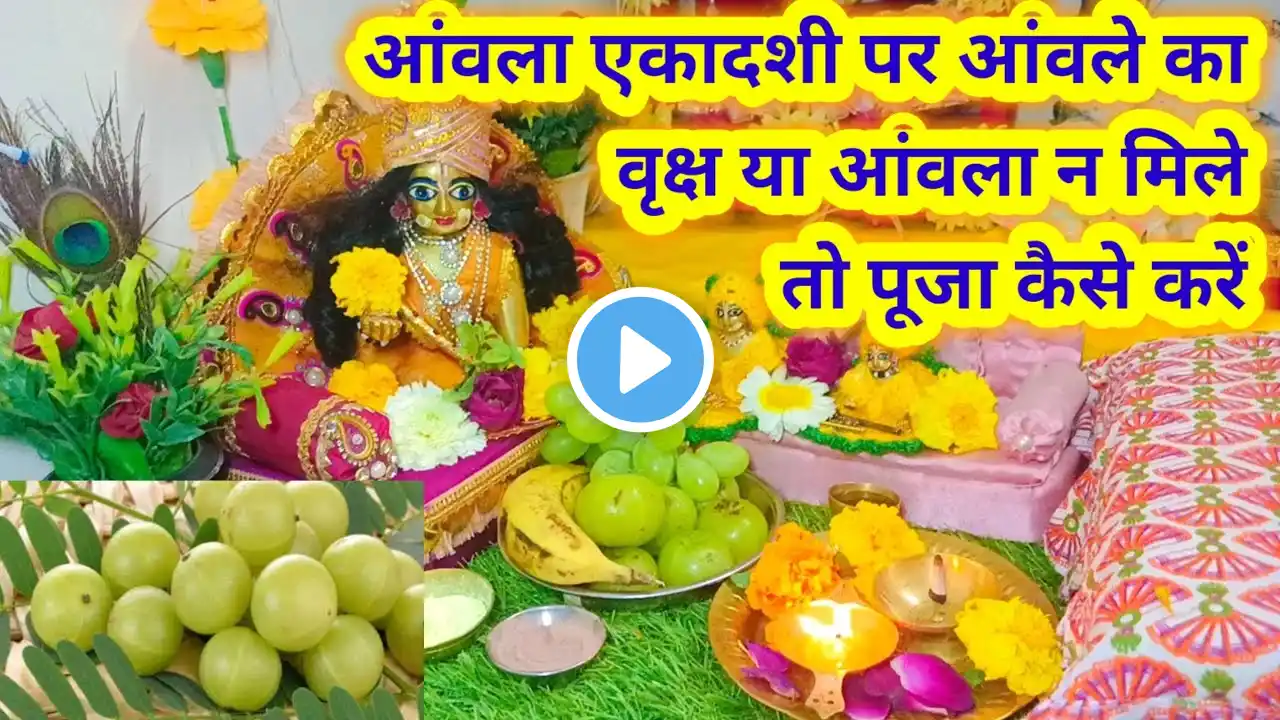 आंवला एकादशी पूजा विधि 2024 | amla ekadashi puja vidhi | एकादशी पर लड्डू गोपाल पूजा कैसे करें