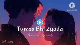 Tumse Bhi Zyada | Arjit Singh - Mix Song | slowed reverb song | full song