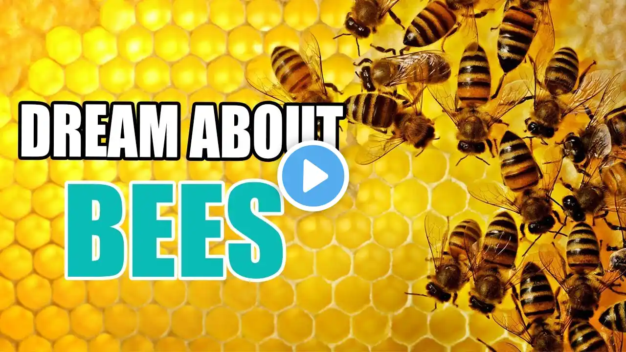 True Meaning And Right Interpretation Of Dreams About Bees - Sign Meaning