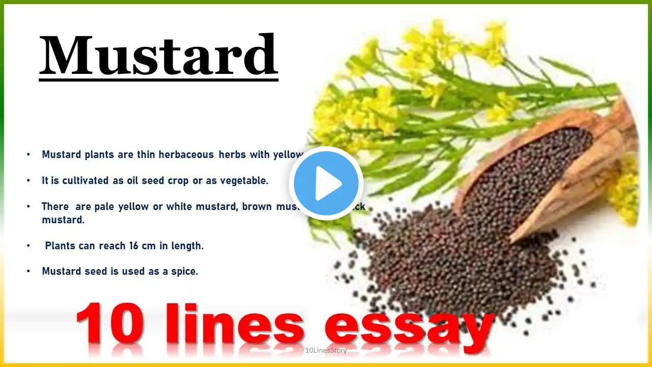 10 lines on Mustard||10 lines essay on Mustard