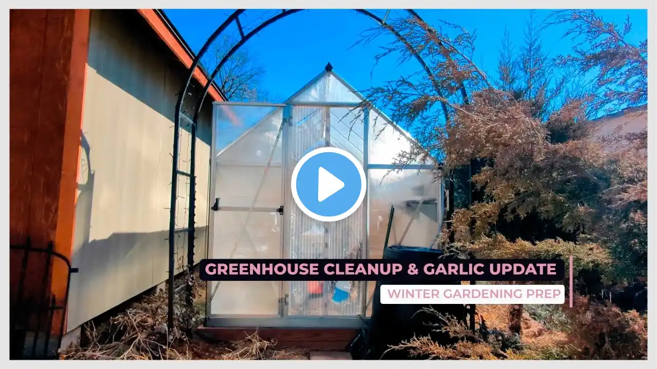 🌿 Greenhouse Cleanup & Garlic Update | Winter Gardening Prep 🧄❄️