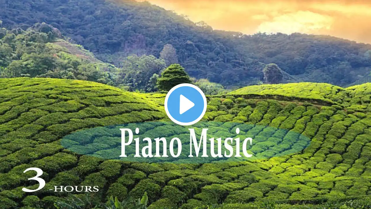 3-Hour Piano Music Collection Gentle Melodies for Relaxation & Meditation