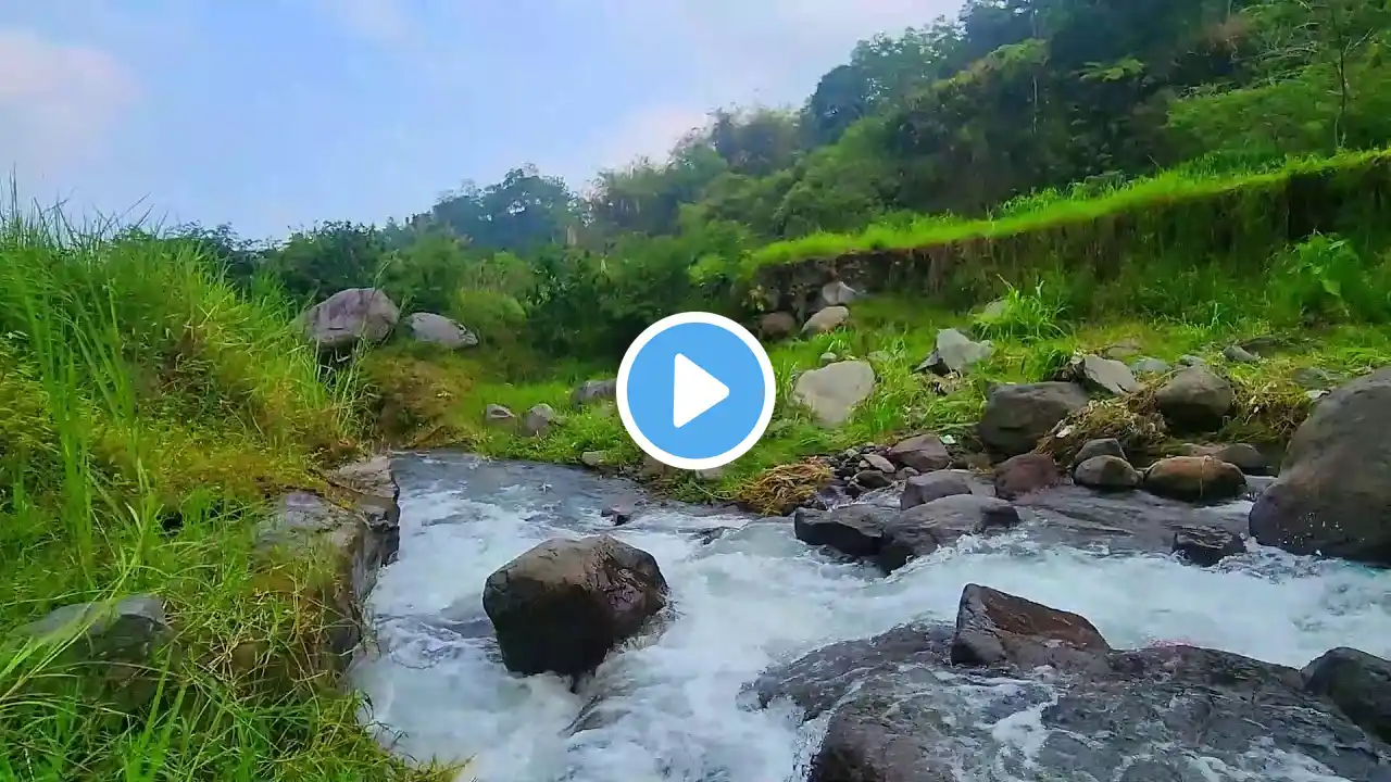 Soothing Water Ambience for Meditation and Healing Tranquil River Flow for Study for Healing