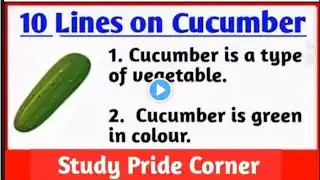 10 Lines on Cucumber🥒 in English | Few Lines on Cucumber | StudyPrideCorner