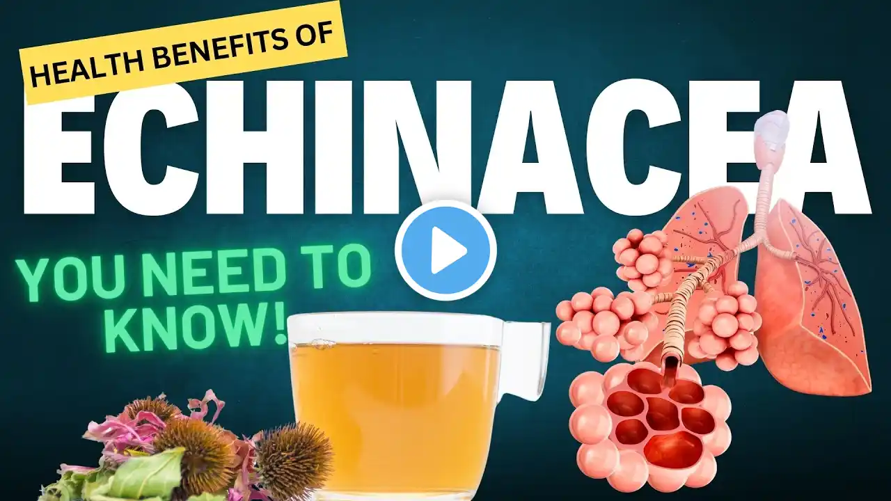 Unbelievable Health Benefits of Echinacea You Need to Know