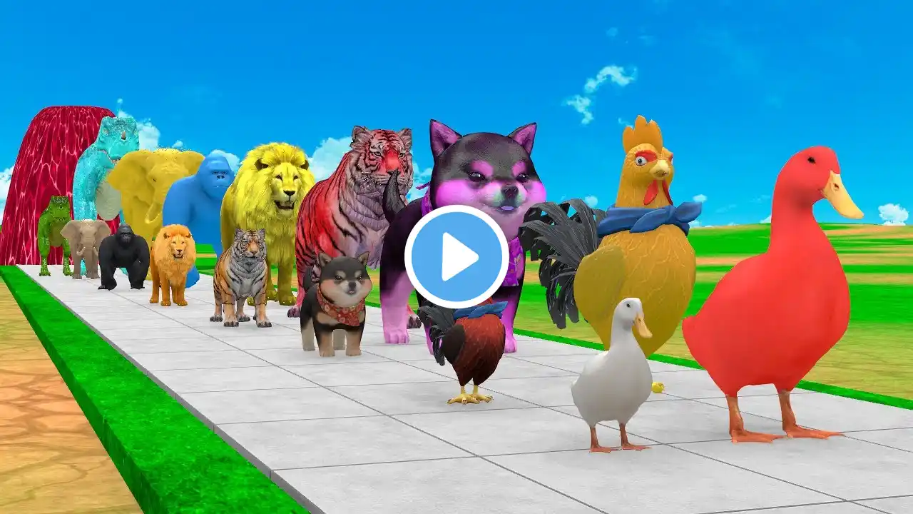 Paint Animals Duck Chicken Dog Cow Tiger Lion Gorilla Elephant Dinosaur Fountain Crossing Cartoon