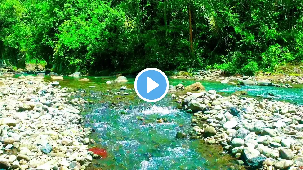Relaxing River Sounds Mountain Stream Waterfall Gentle Stream for sleep, study, insomnia, meditation