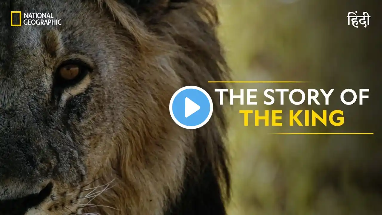 The Story of the King | Savage Kingdom | हिन्दी | Full Episode | S1-E1 | Nat Geo Wild