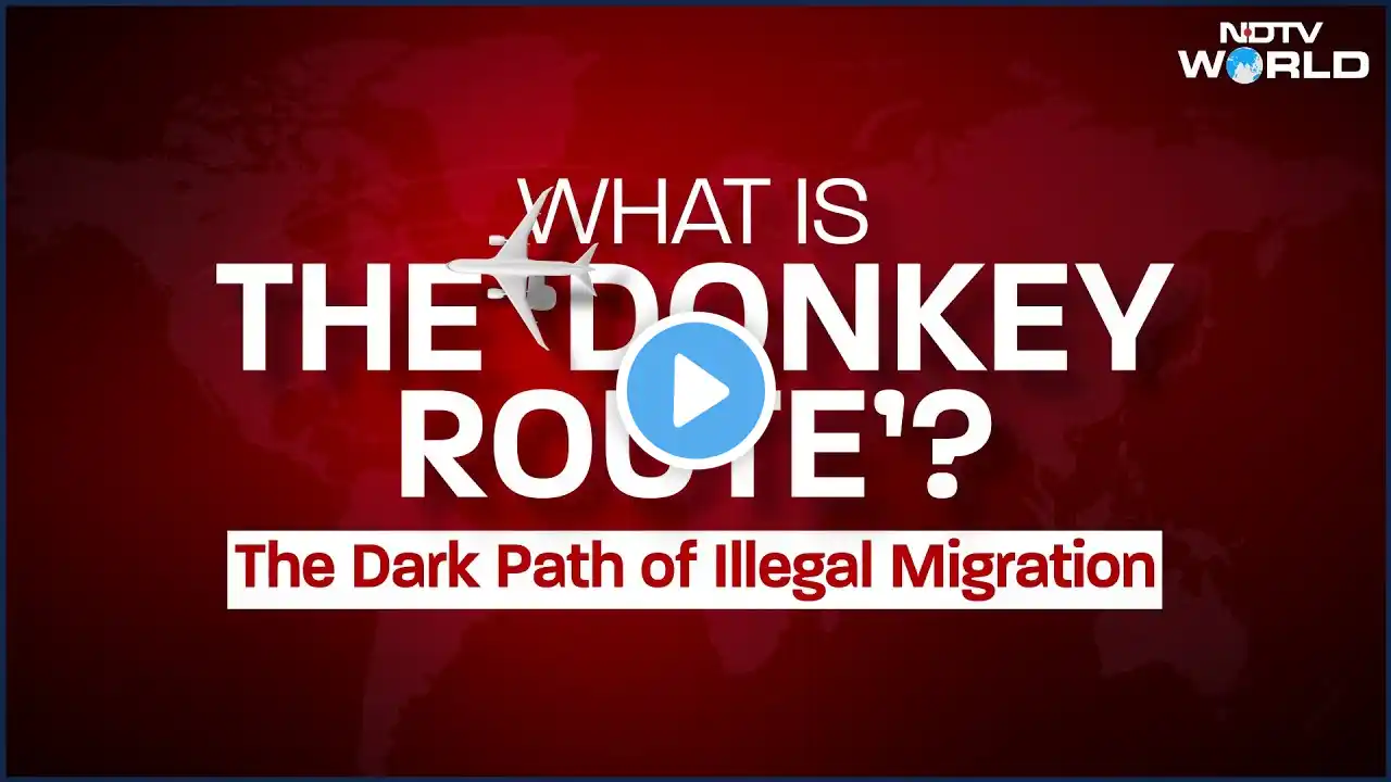 US Donkey Route | Over 100 Indians Deported From US: How 'Donkey Route' Business Works