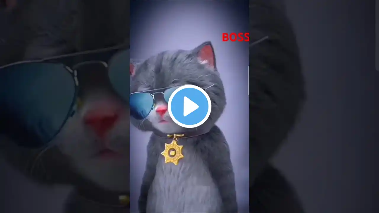 CAT FUNNY VIDEO 😅 BOSS #shorts #shortsfeed #cutebaby #cat #trending #shortvideo