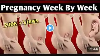 Pregnancy Week By Week || 1 - 41 Weeks Fetal Developments// For medical students