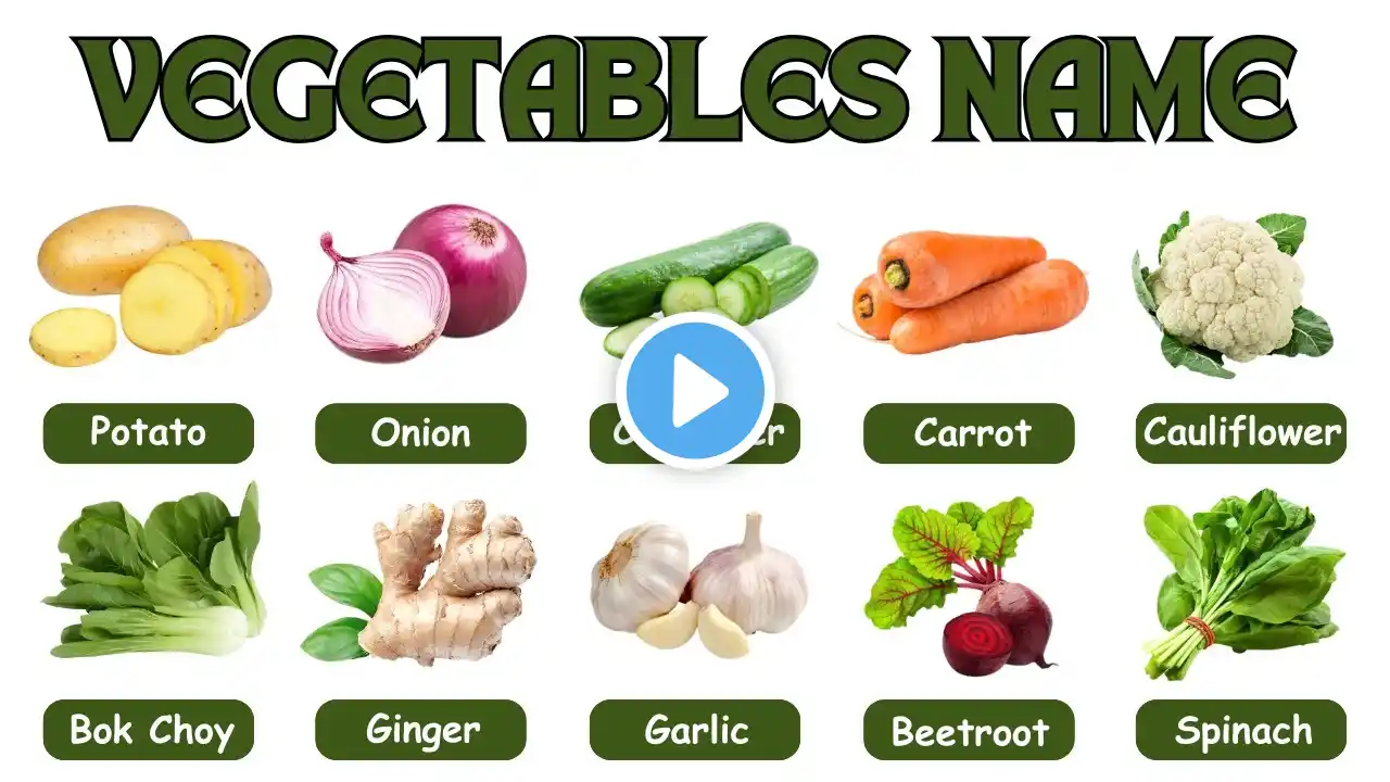 Vegetables Vocabulary / Vegetables Name in English With Pictures / All Vegetables Name