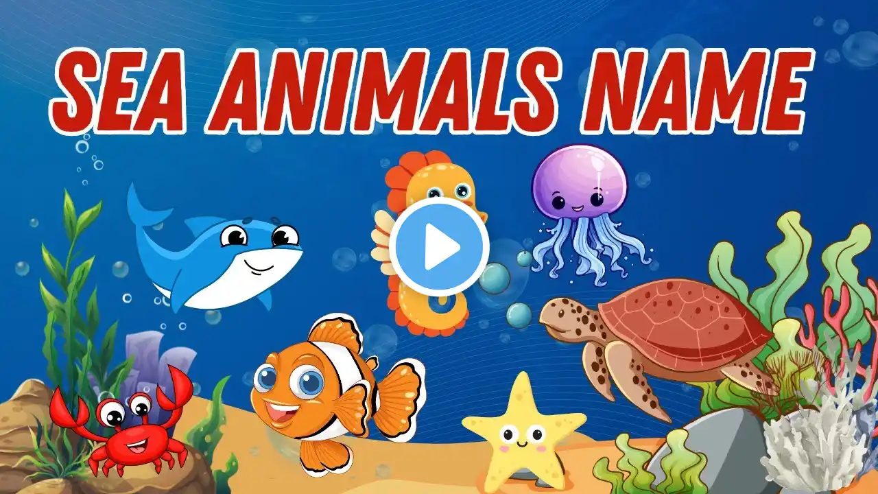 Sea Animals | Learn Sea Animals Names in English | Kids Vocabulary | English Education Video